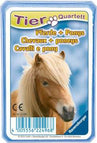 Quartett: Pferde + Ponys