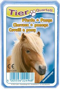 Quartett: Pferde + Ponys - Bild 1