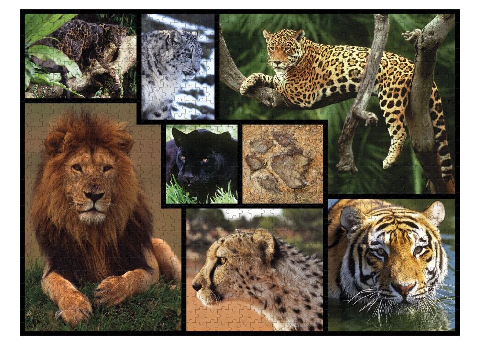 WWF Puzzle 1000 Teile Wildkatzen - Bild 2