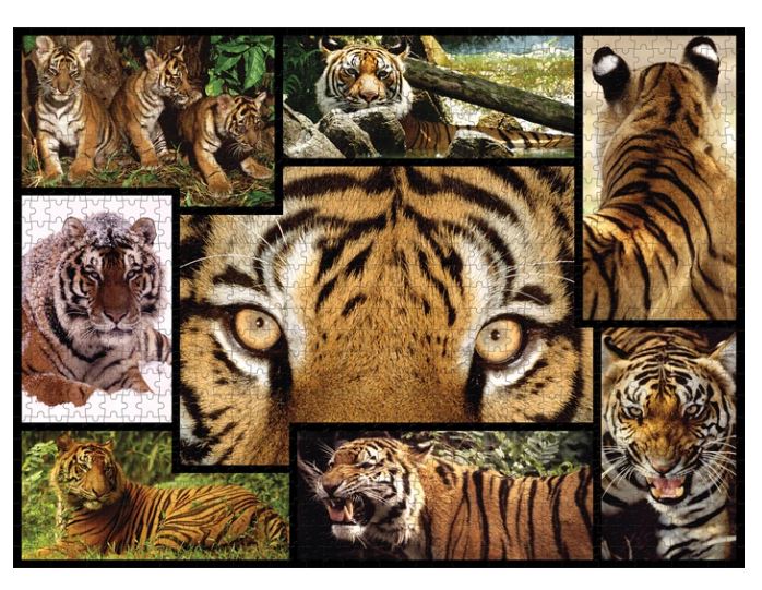 WWF Puzzle 1000 Teile Tiger - Bild 2