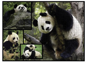 WWF Puzzle 1000 Teile Pandas