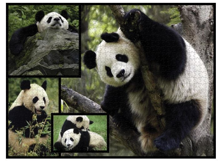 WWF Puzzle 1000 Teile Pandas - Bild 2