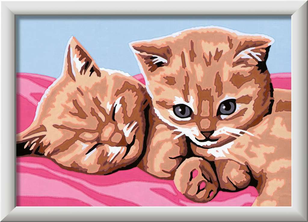 CreArt Feline Friends 18x13cm 23.562 - Bild 2