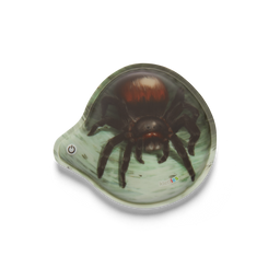 Klettie LED  Ergobag Spinne