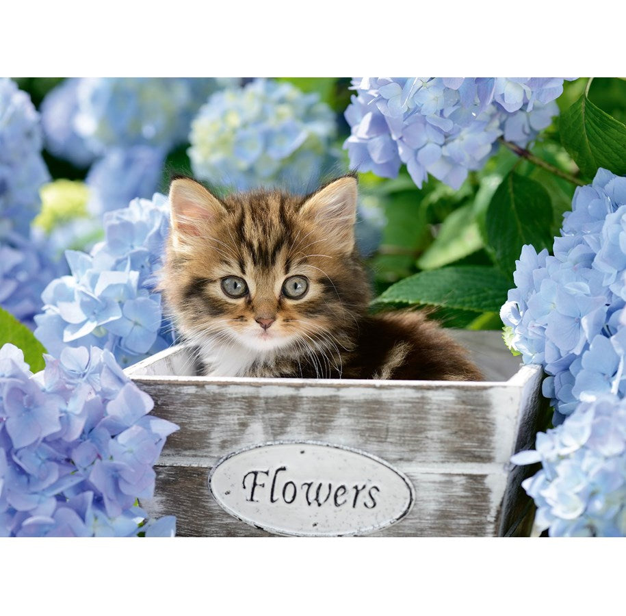 Puzzle 300 XXL Teile Kleine Katze 12.894 - Bild 2