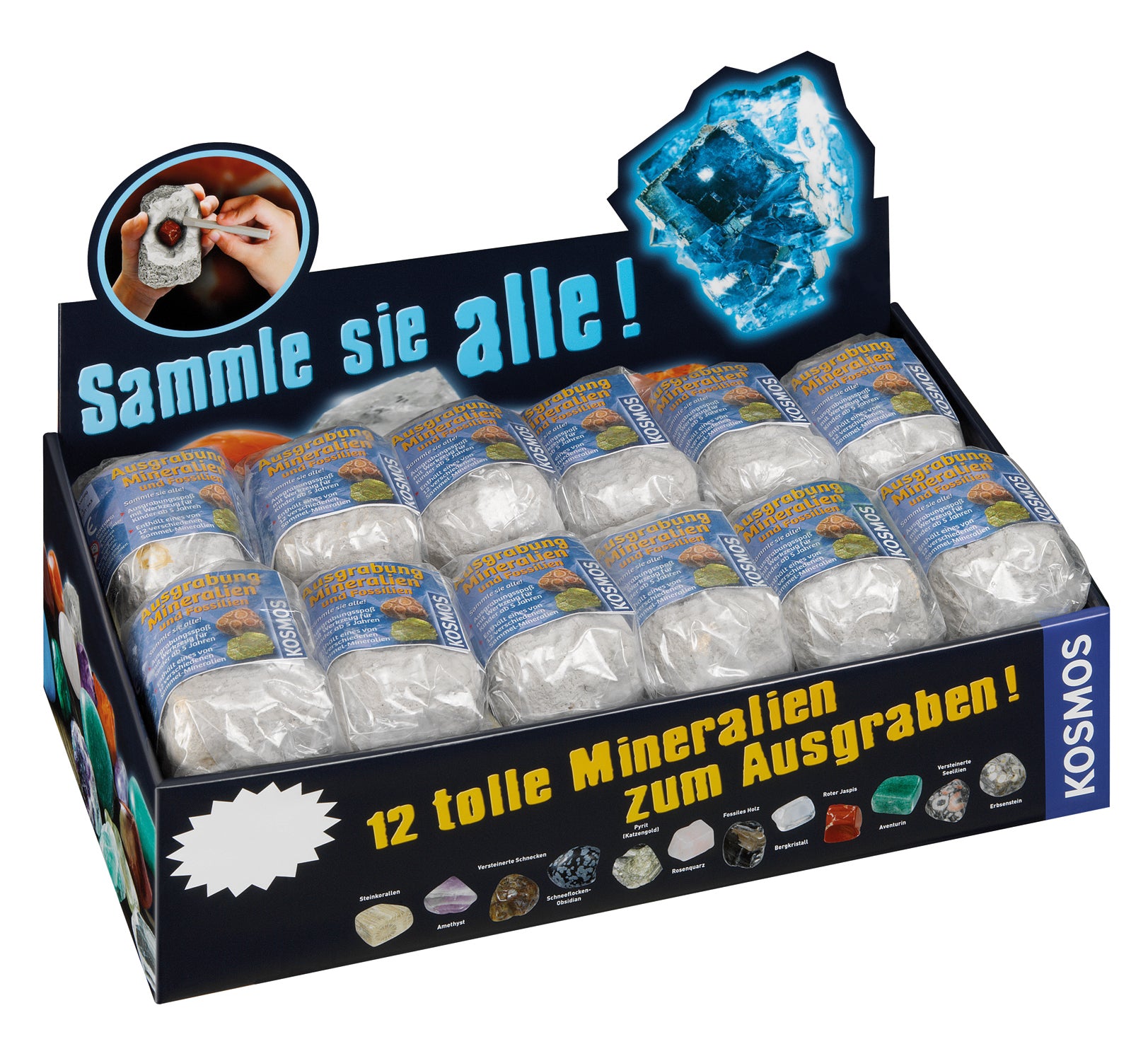 Mineralien oder Fossilien zum Ausgraben - Bild 1