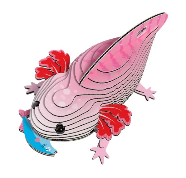 3D Bastelset Axolotl - Bild 2