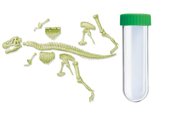Leuchtendes T-Rex Skelett - Bild 2