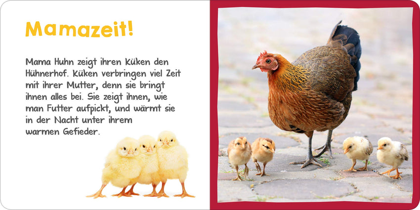 Hör mal rein! Mini : Das Küken