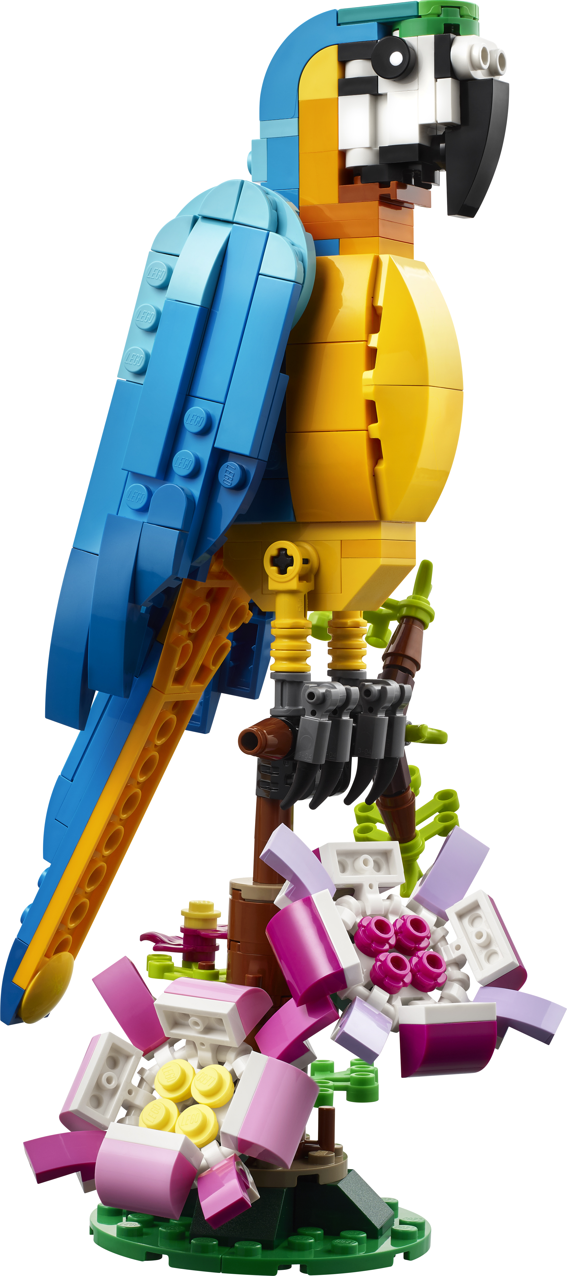 LEGO Creator Exotischer Papagei 31136 - Bild 2
