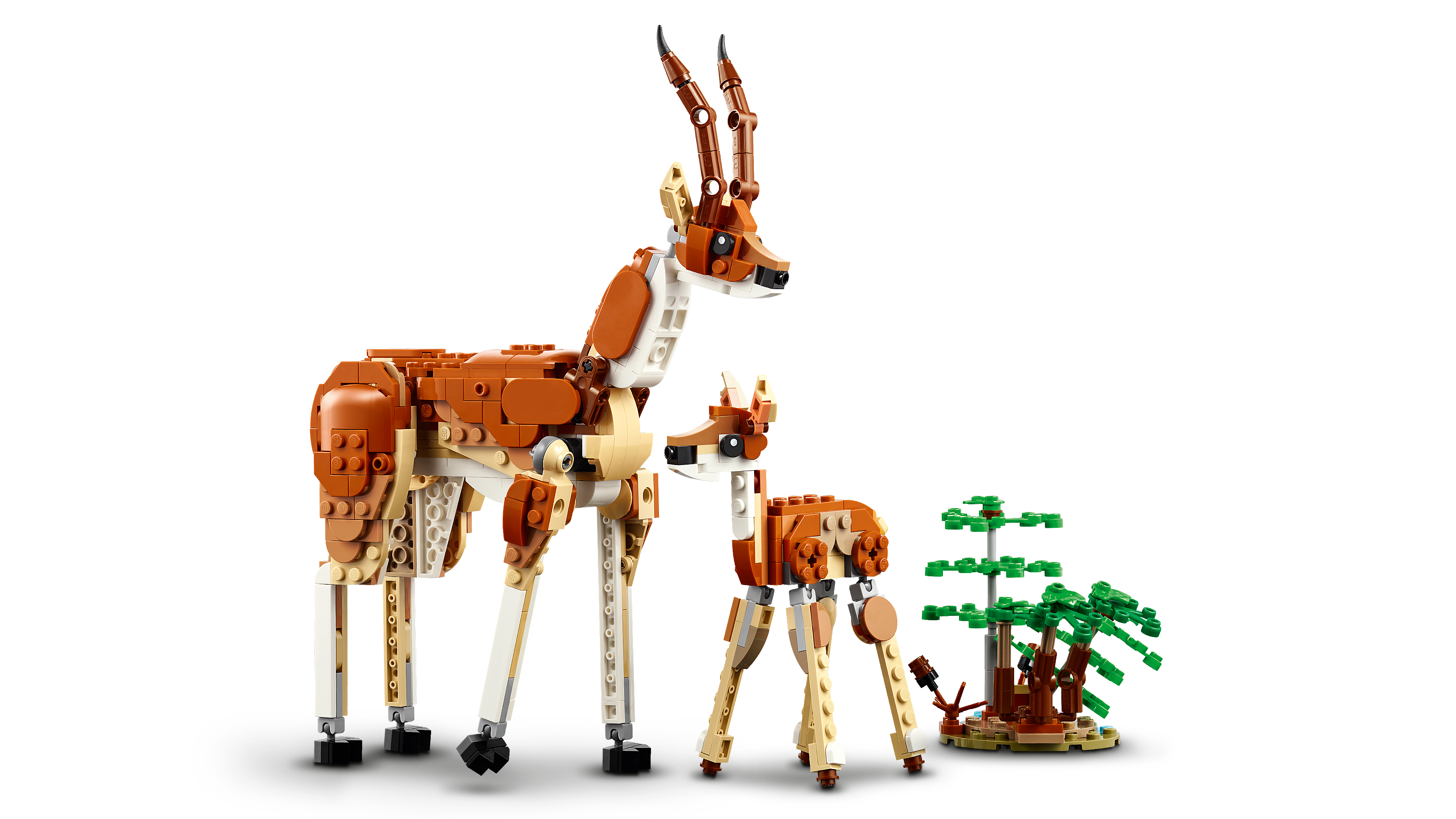 LEGO Creator Tiersafari 31150 - Bild 3