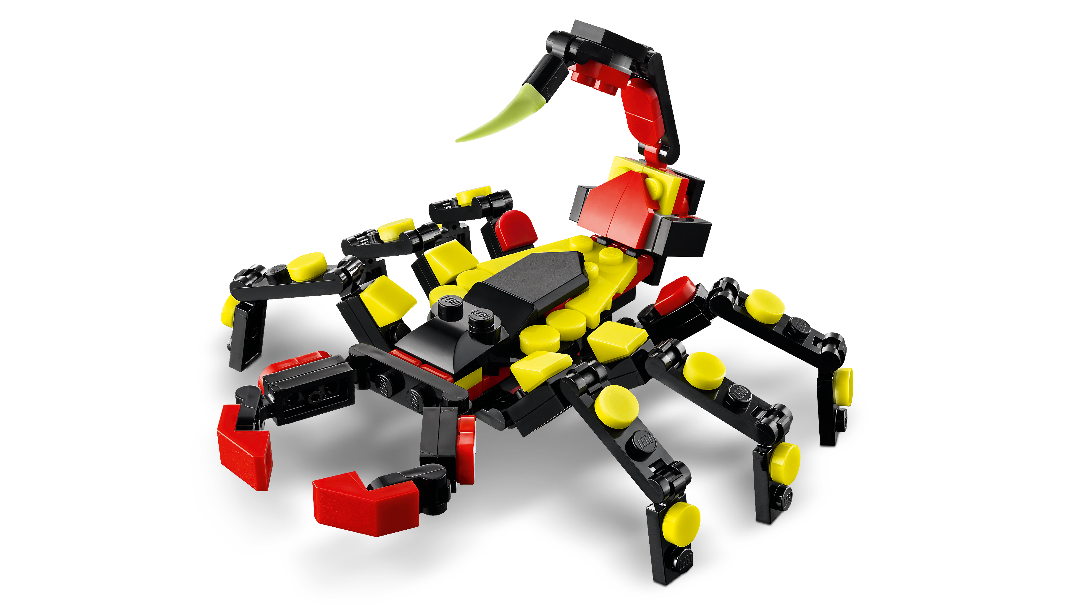 LEGO Creator Wilde Tiere: Überraschungsspinne 31159 - Bild 4