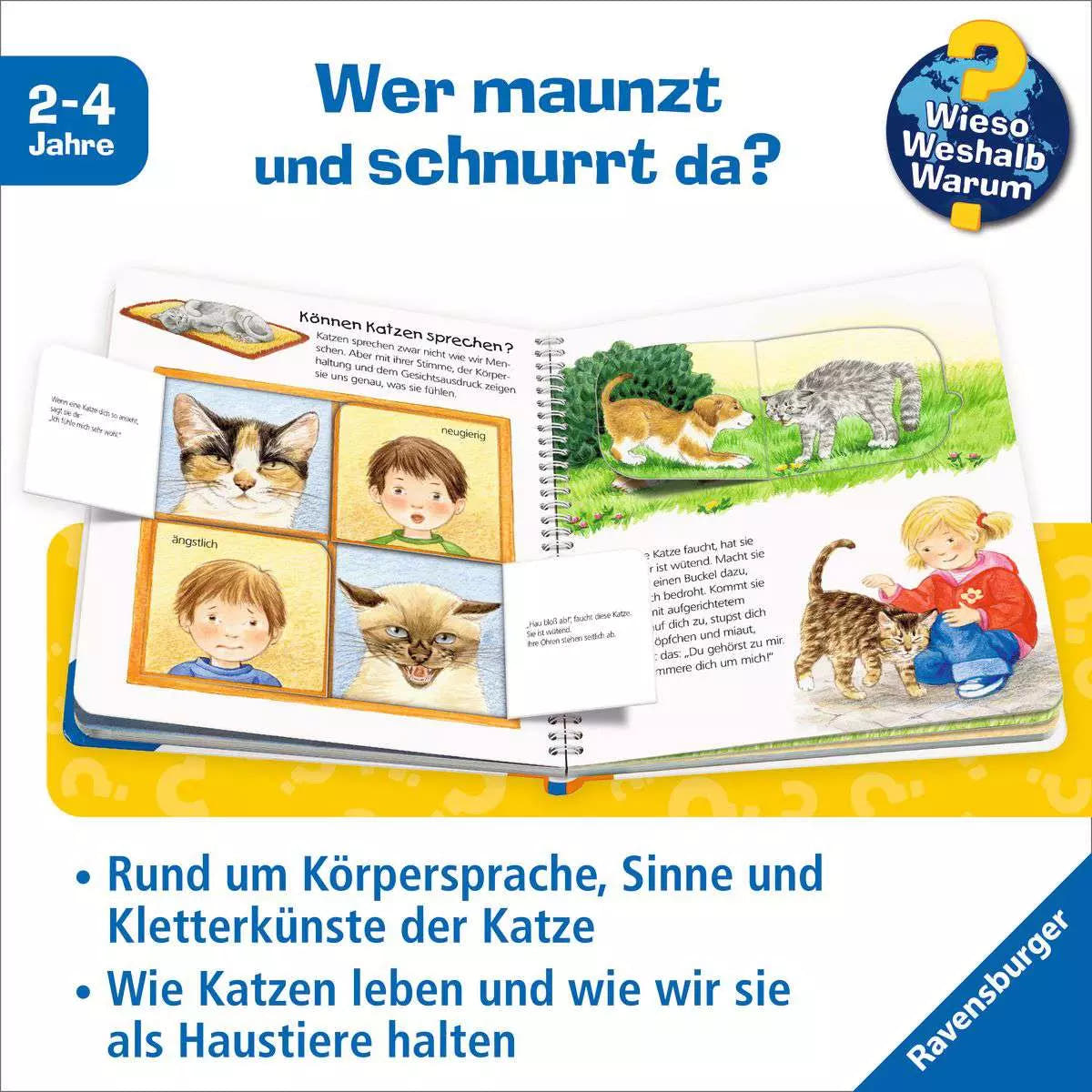 WWW Junior Band 21 - Die Katze 32.770 - Bild 3