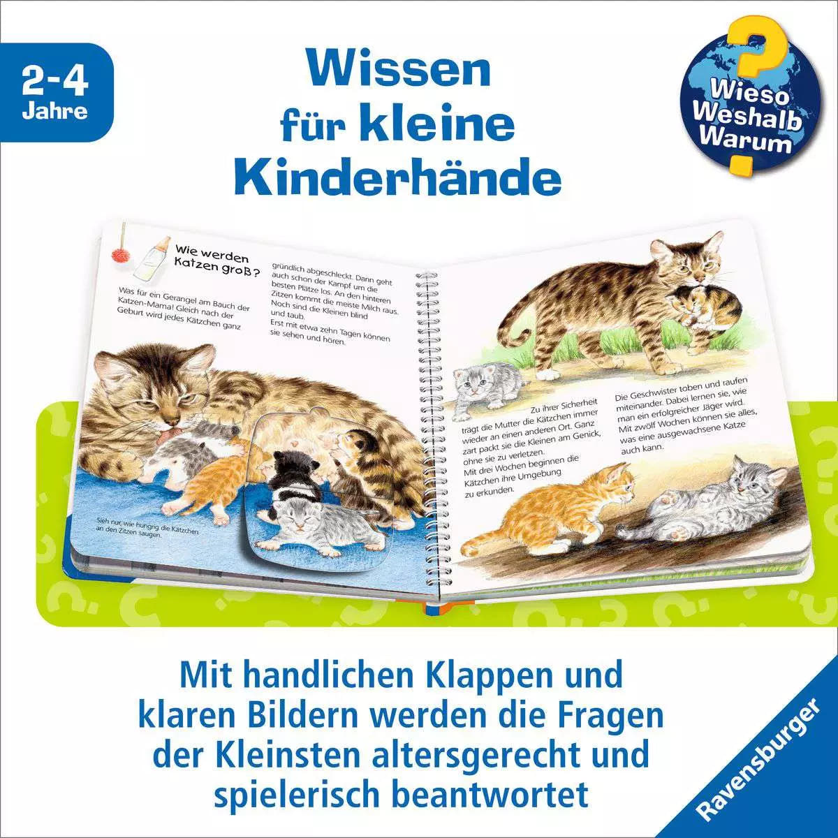 WWW Junior Band 21 - Die Katze 32.770 - Bild 4