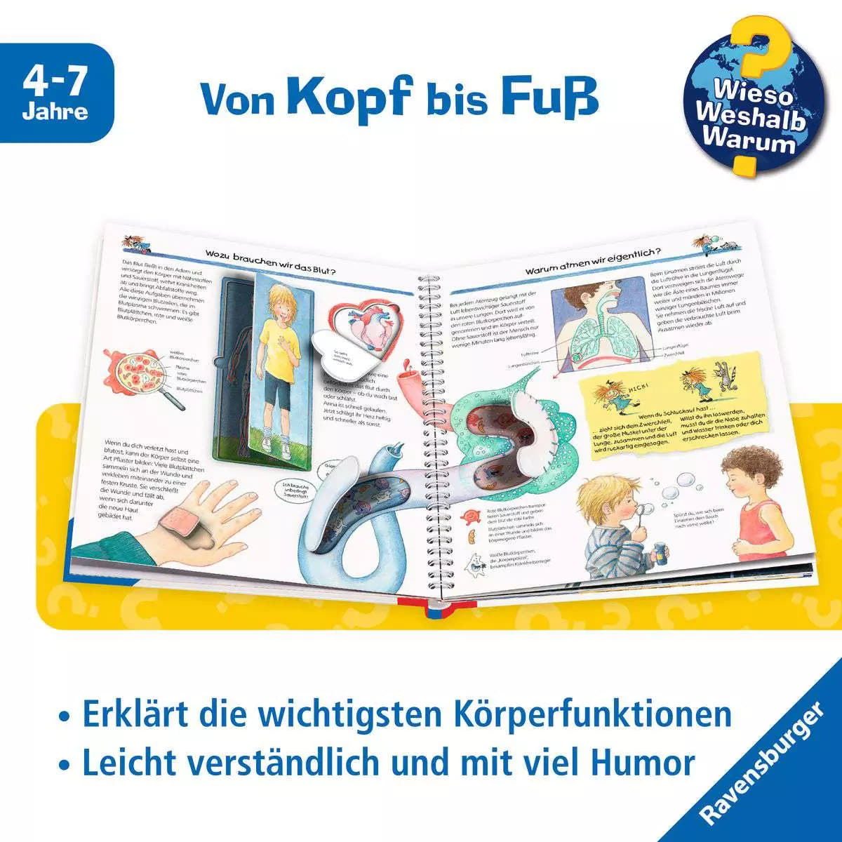 WWW Wir entdecken unseren Körper 32.873 - Bild 3