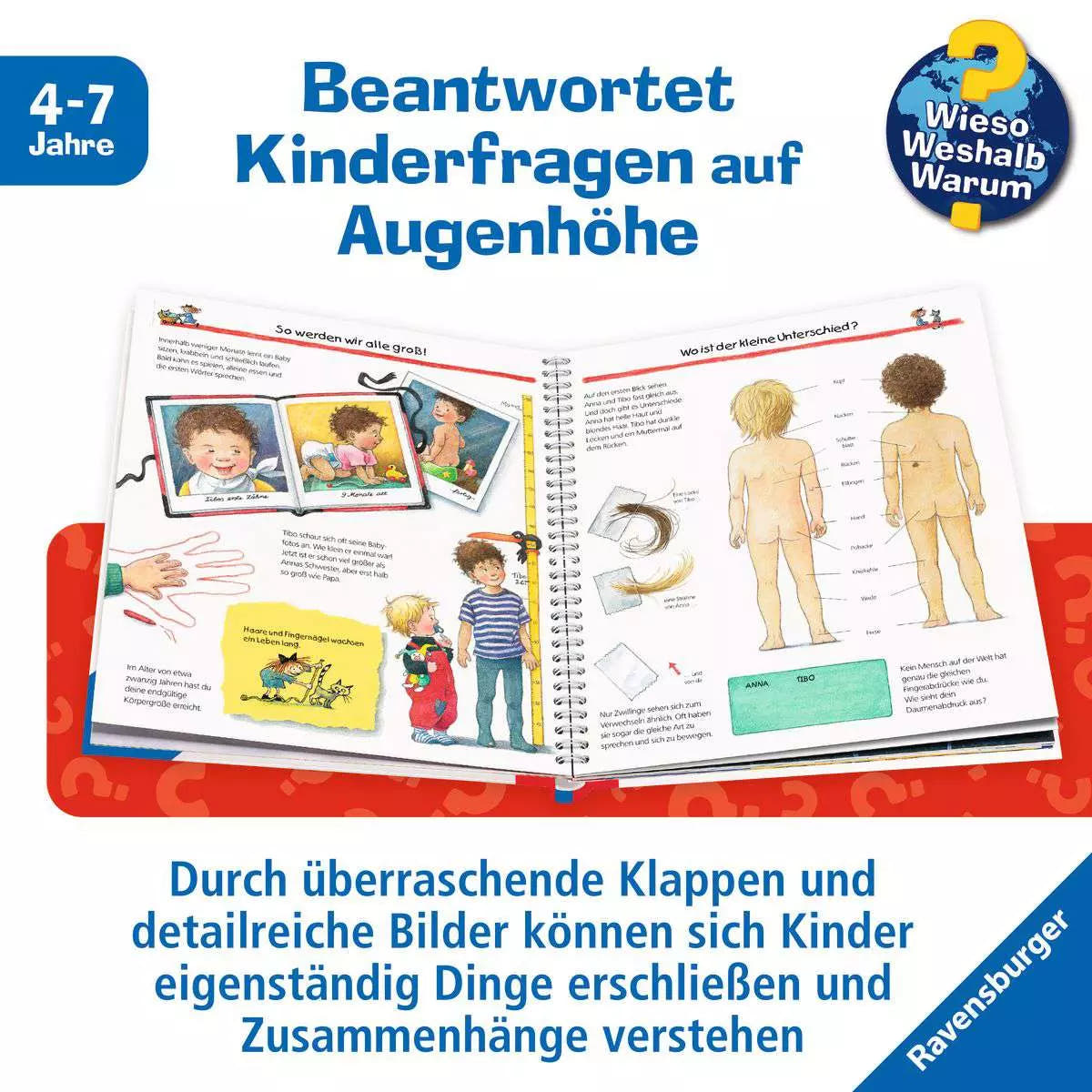 WWW Wir entdecken unseren Körper 32.873 - Bild 4
