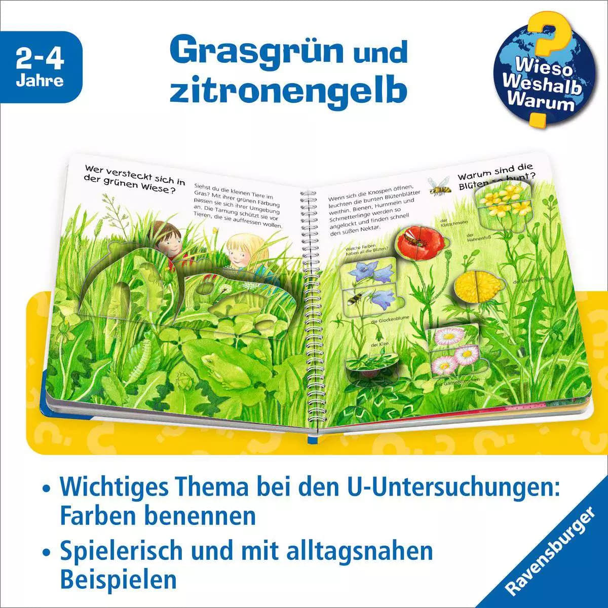 WWW Junior Band 13 - Welche Farbe ist das? 32.889 - Bild 3