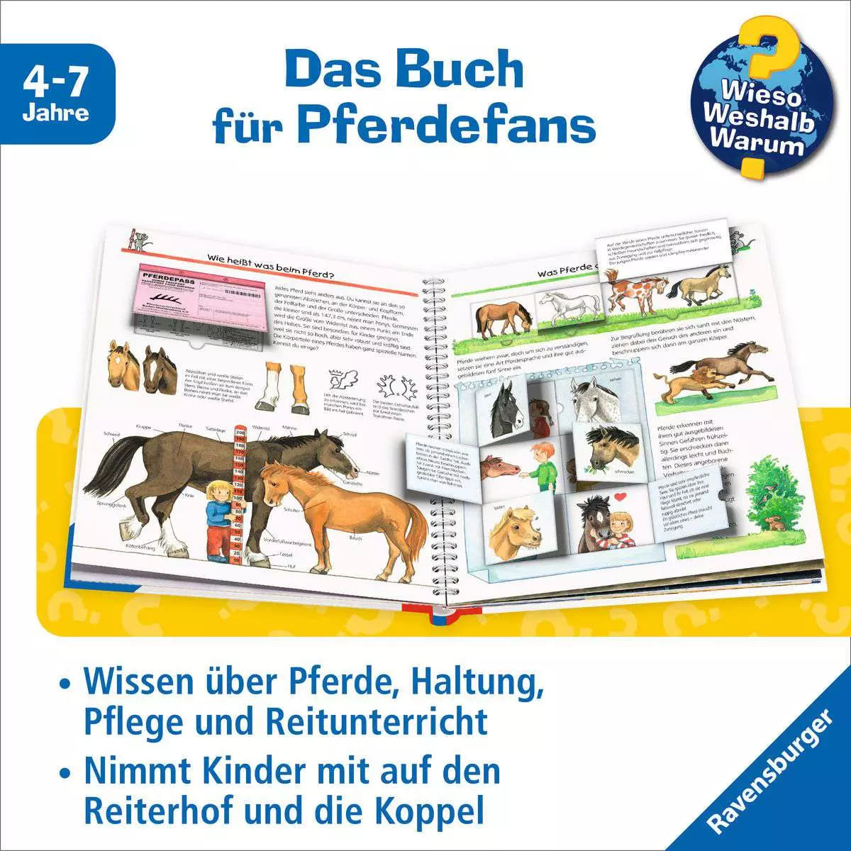 WWW Band 21 - Alles über Pferde und Ponys 33.258 - Bild 3