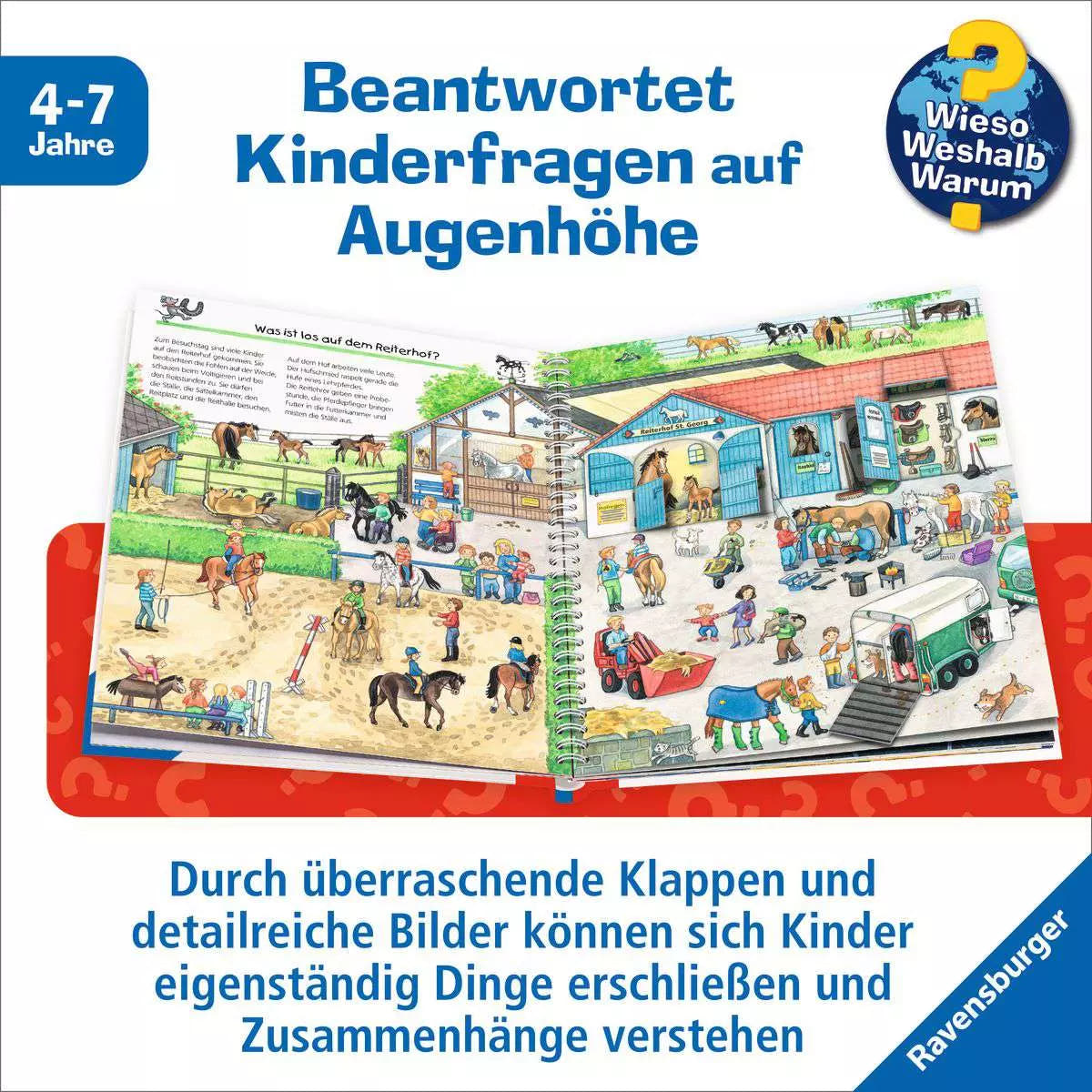 WWW Band 21 - Alles über Pferde und Ponys 33.258 - Bild 4