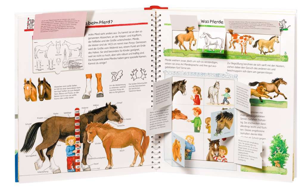 WWW Band 21 - Alles über Pferde und Ponys 33.258 - Bild 2