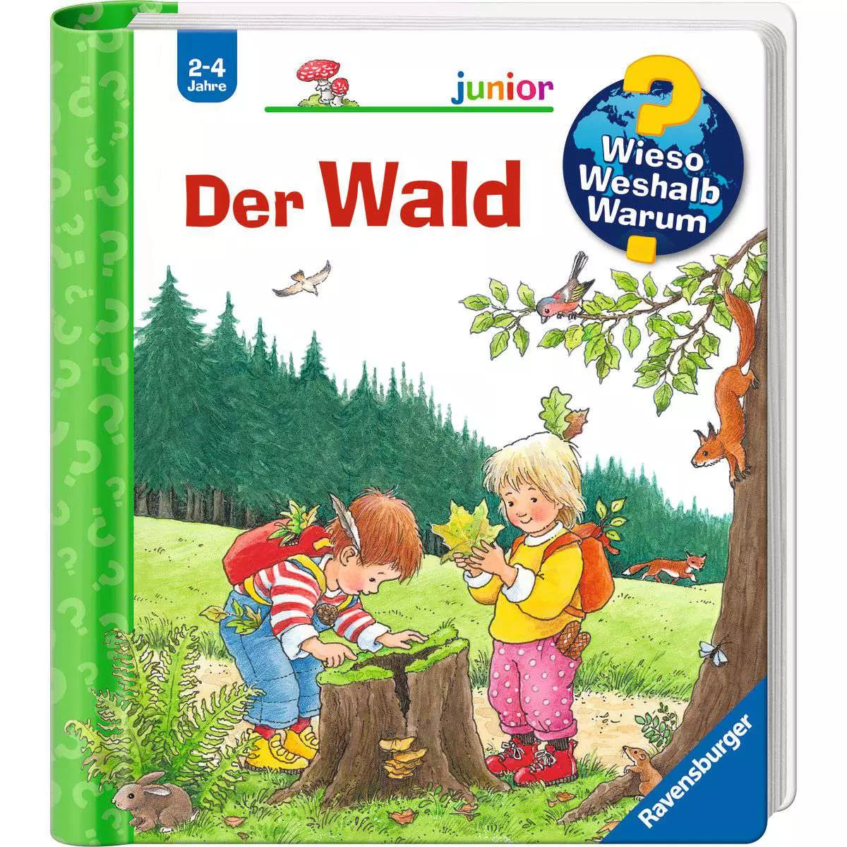 WWW Junior Band 06 - Der Wald 33.298 - Bild 1