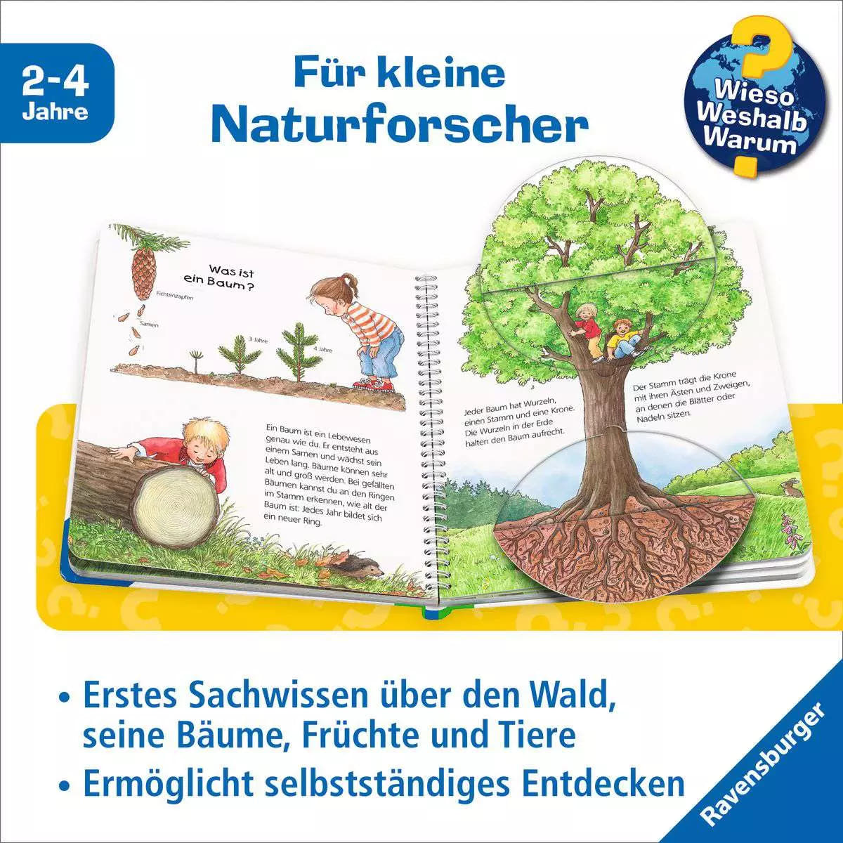 WWW Junior Band 06 - Der Wald 33.298 - Bild 3