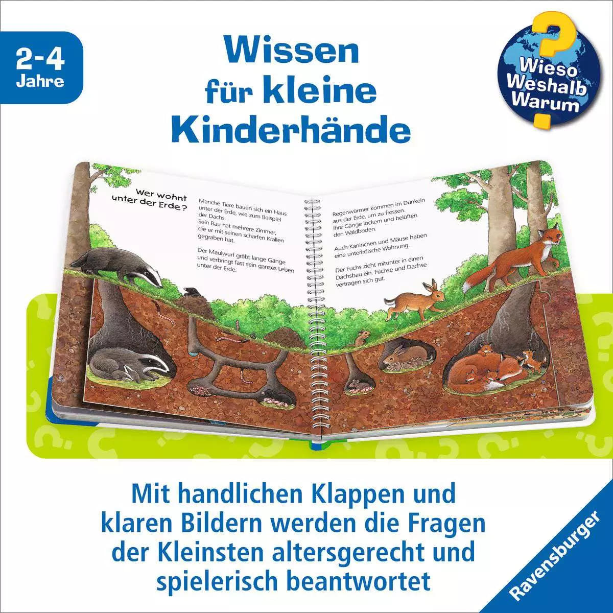 WWW Junior Band 06 - Der Wald 33.298 - Bild 4