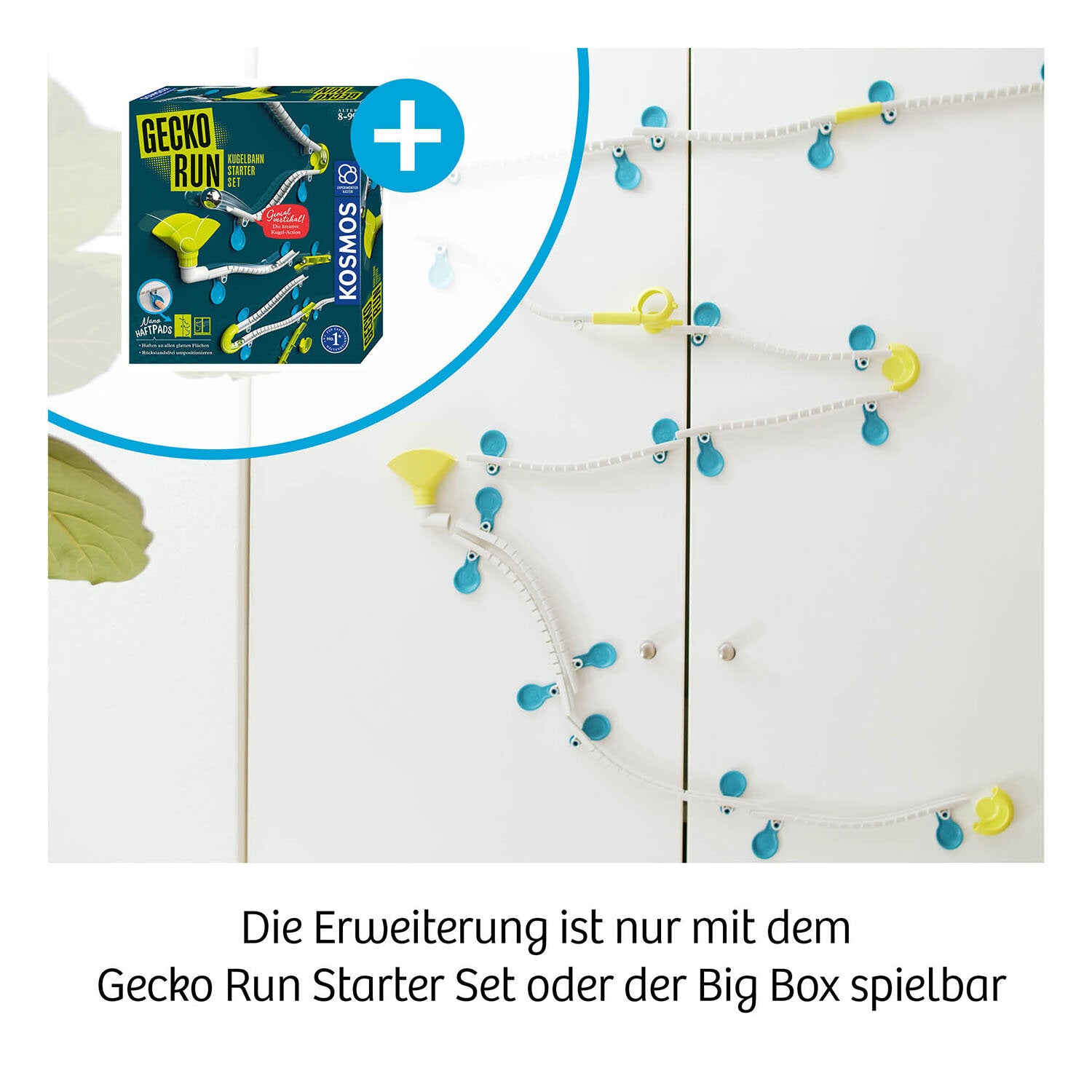 Gecko Run, Twister - Bild 6