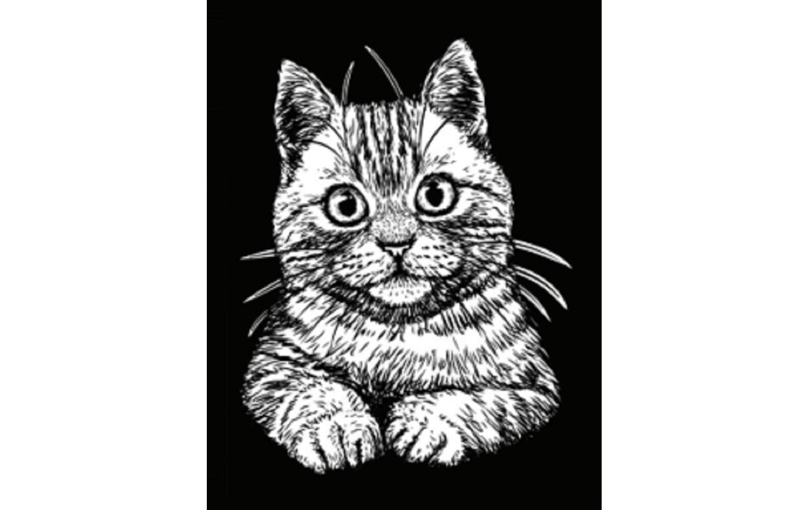 TataRuga Samtbild zum Ausmalen A4 Katze - Bild 1