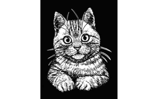 TataRuga Samtbild zum Ausmalen A4 Katze