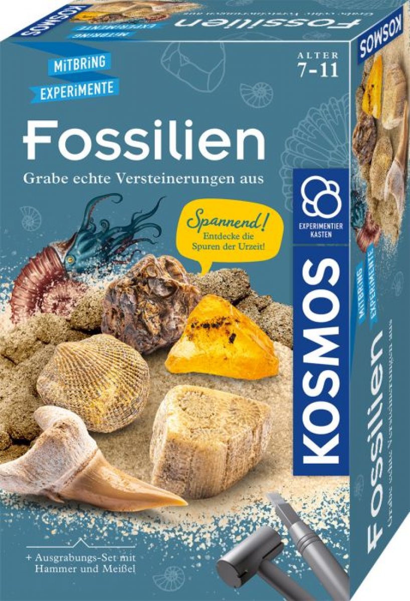 Kosmos Fossilien - Bild 1