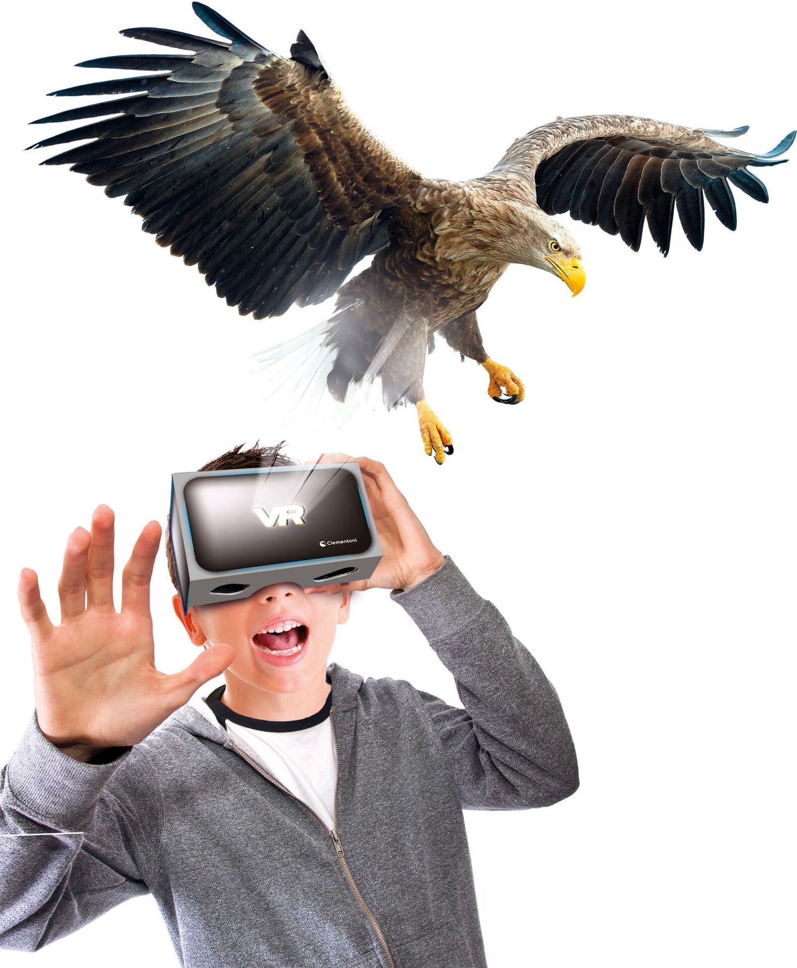 Galileo Entdeckungs-Set Tiere auf unserer Erde - Bild 2