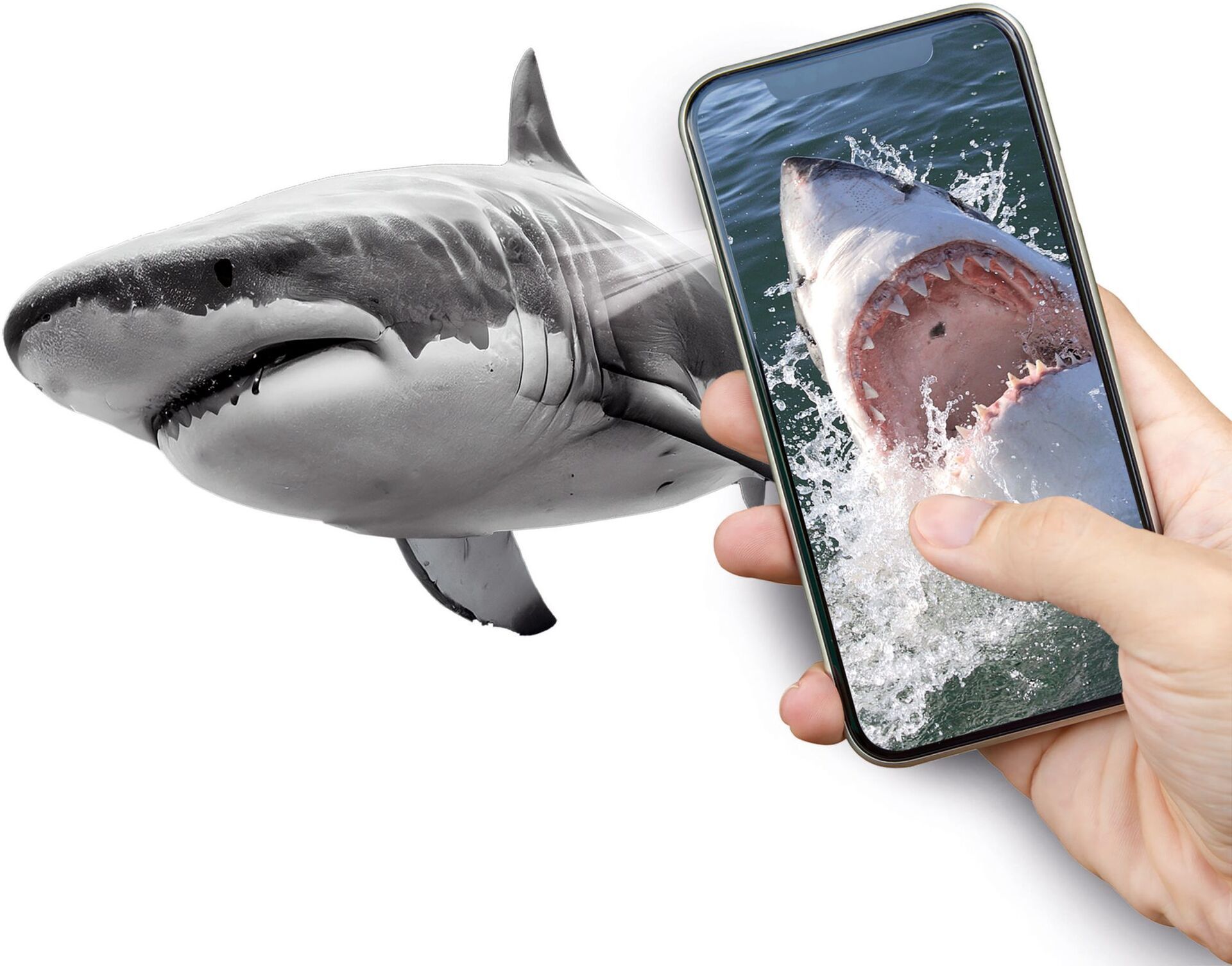 Galileo Entdeckungs-Set Tiere auf unserer Erde - Bild 4