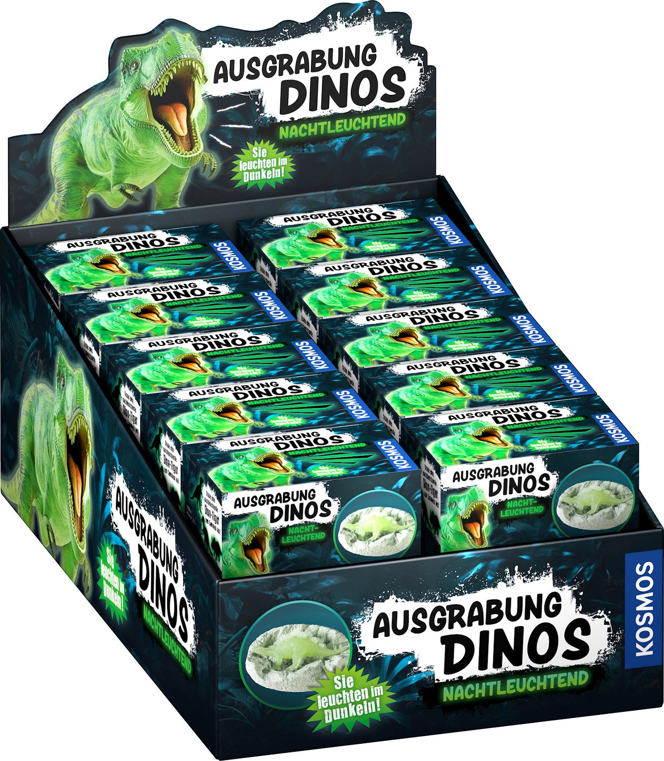 Ausgrabung Nachtleuchtende Dinos - Bild 1