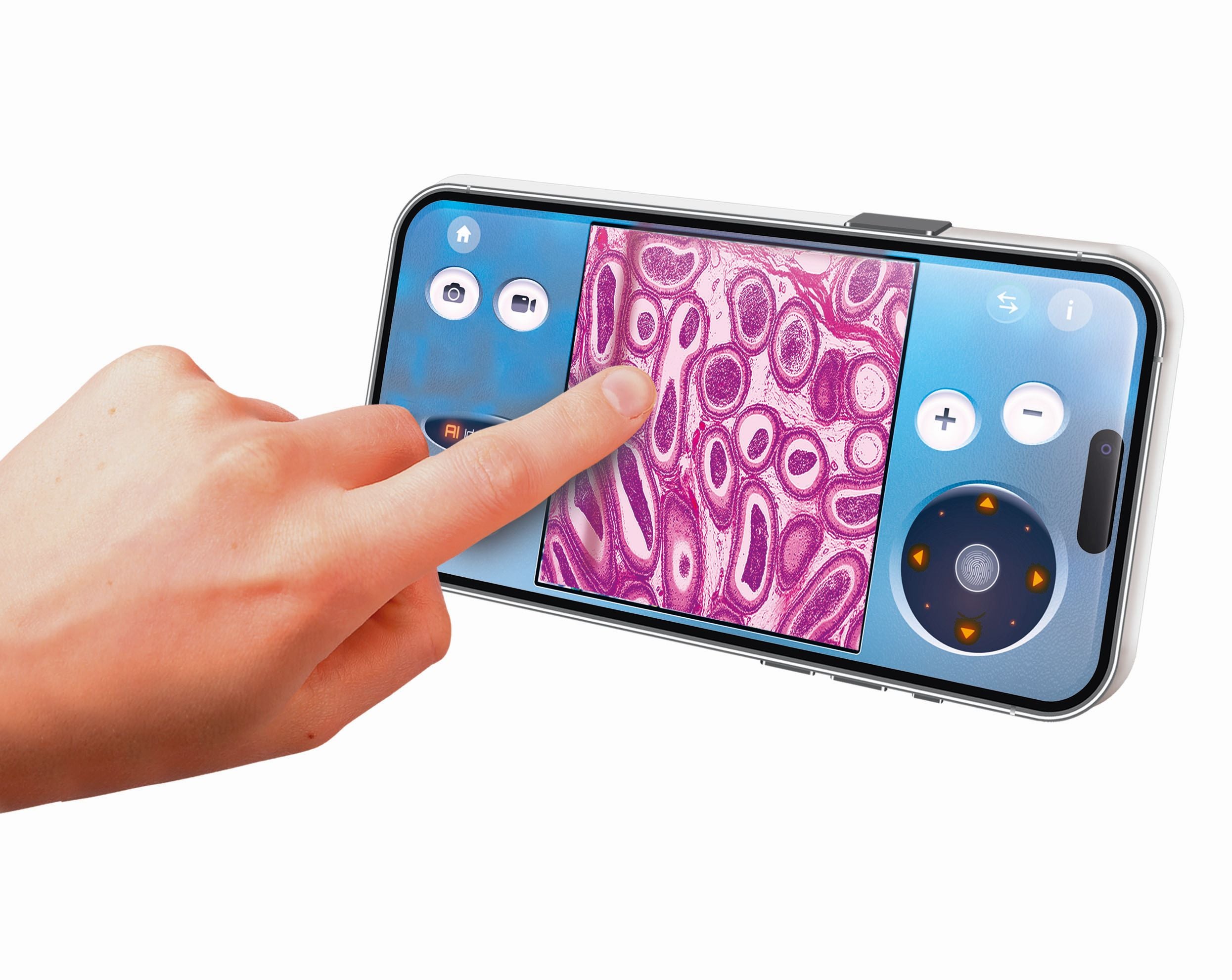 Galileo Mein digitales Mikroskop - Bild 6