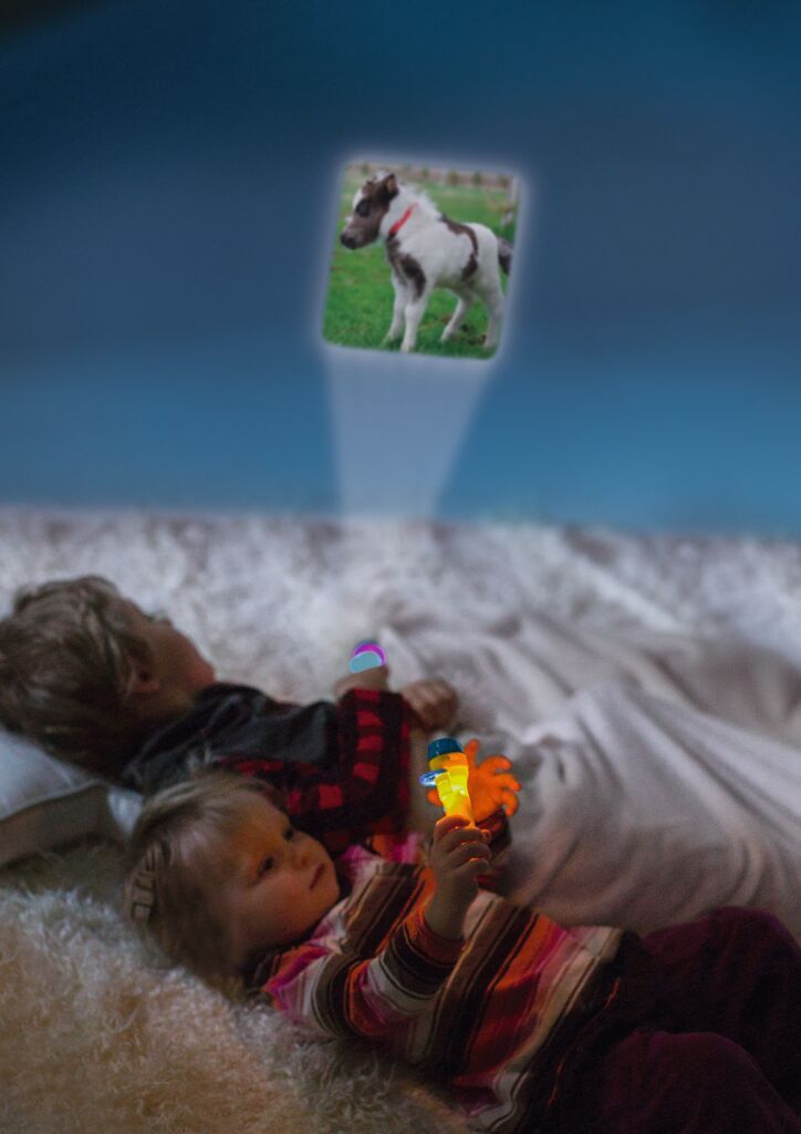 Kleine Diashow Pferde - Bild 5