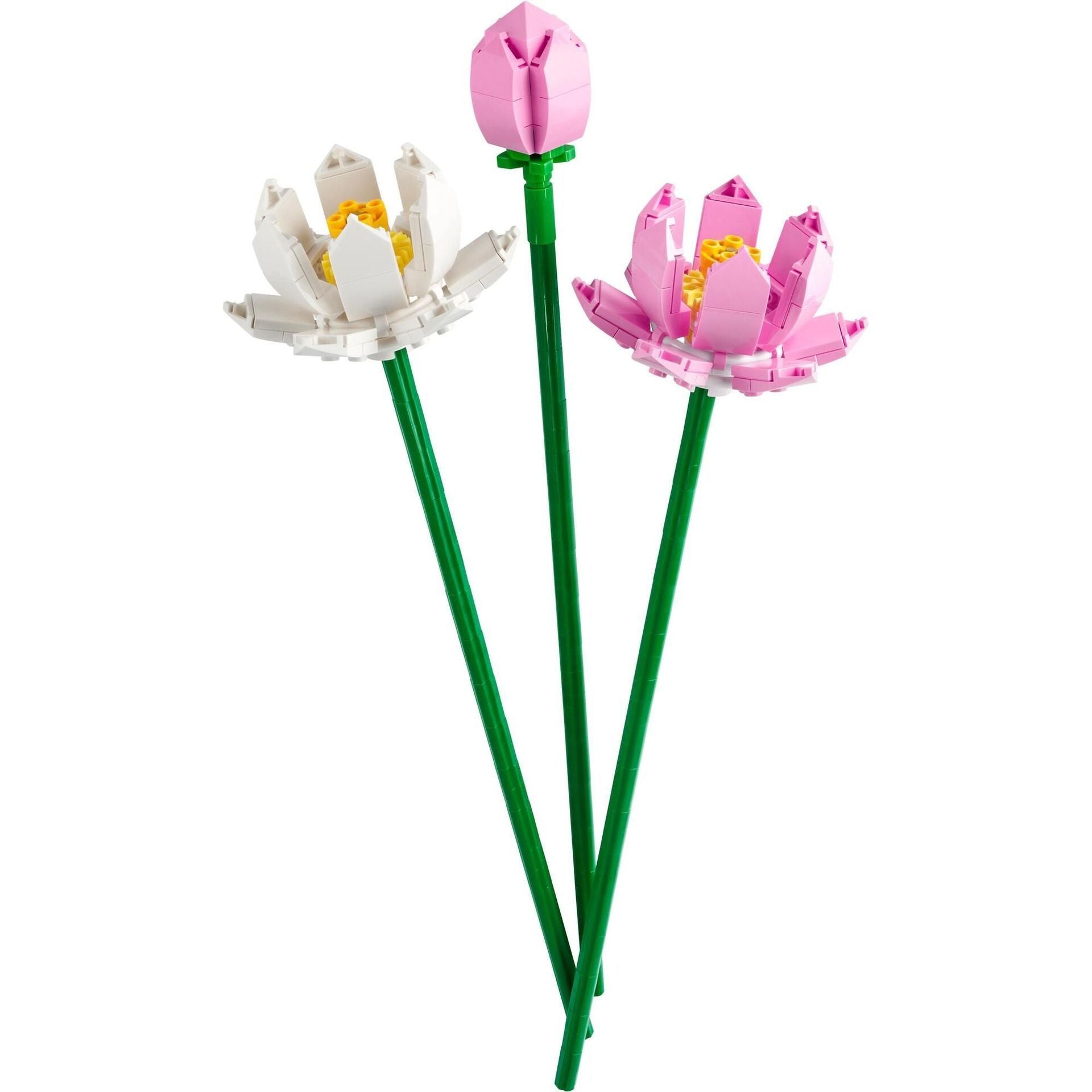 LEGO  Creator Lotusblumen 40647 - Bild 2