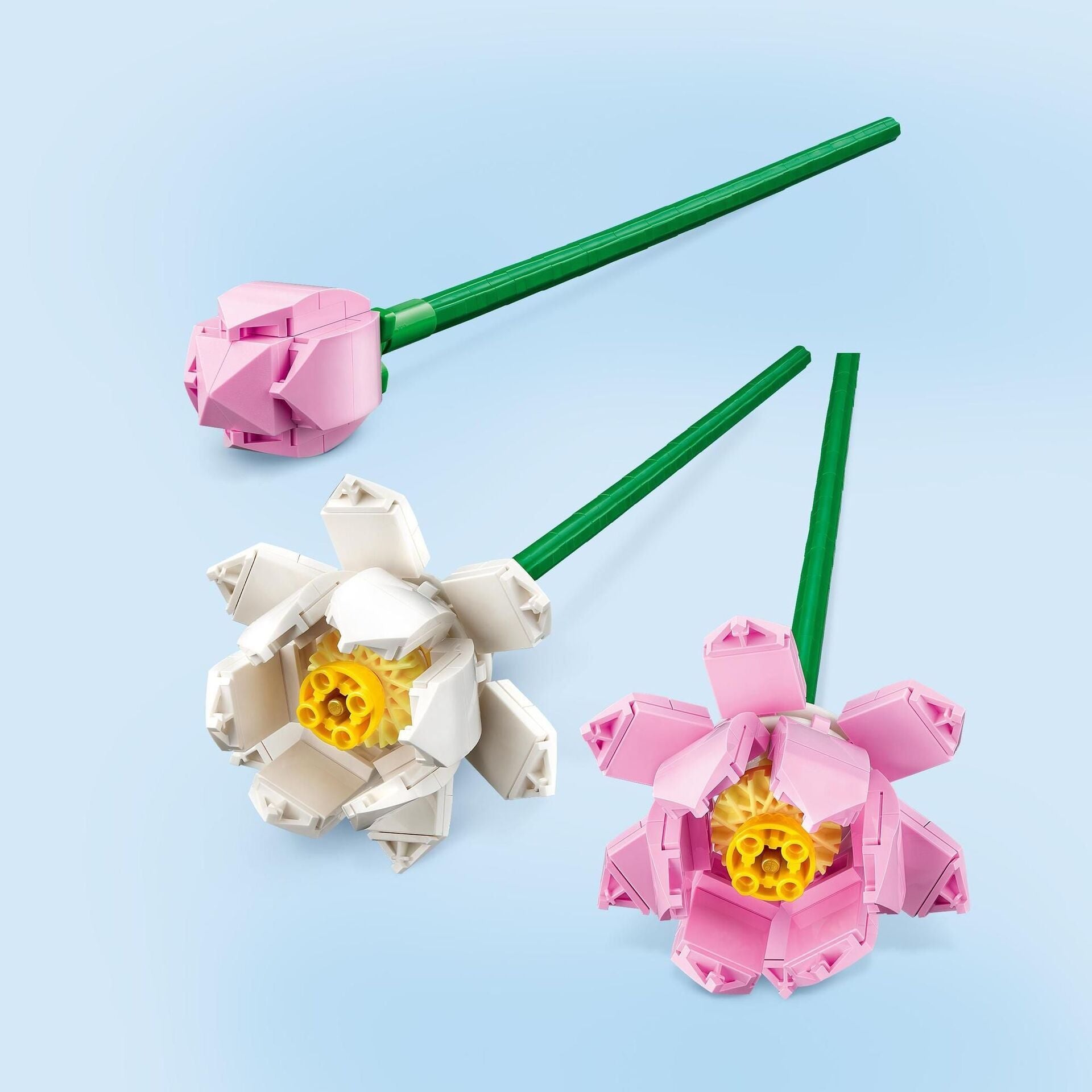 LEGO  Creator Lotusblumen 40647 - Bild 3