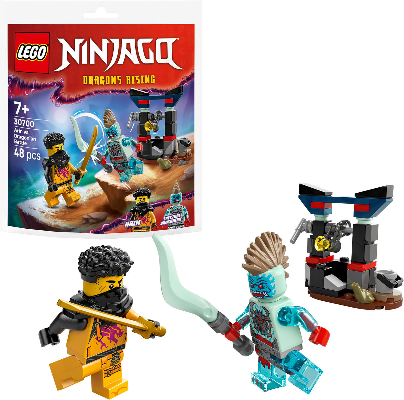 LEGO Ninjago Arins Duell mit dem Drachenmenschen 30700