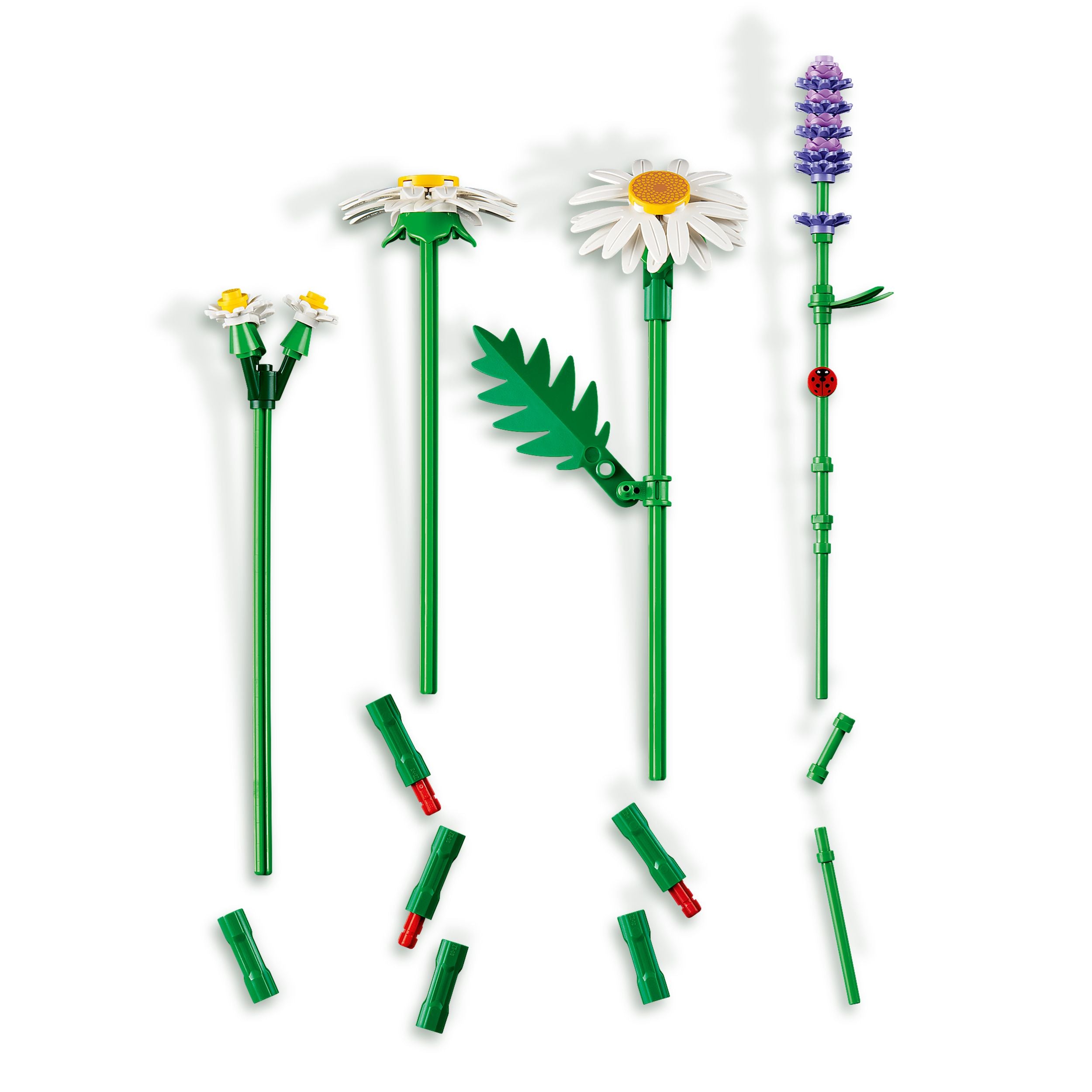 LEGO Botanical 11508 Gänseblümchen - Bild 4