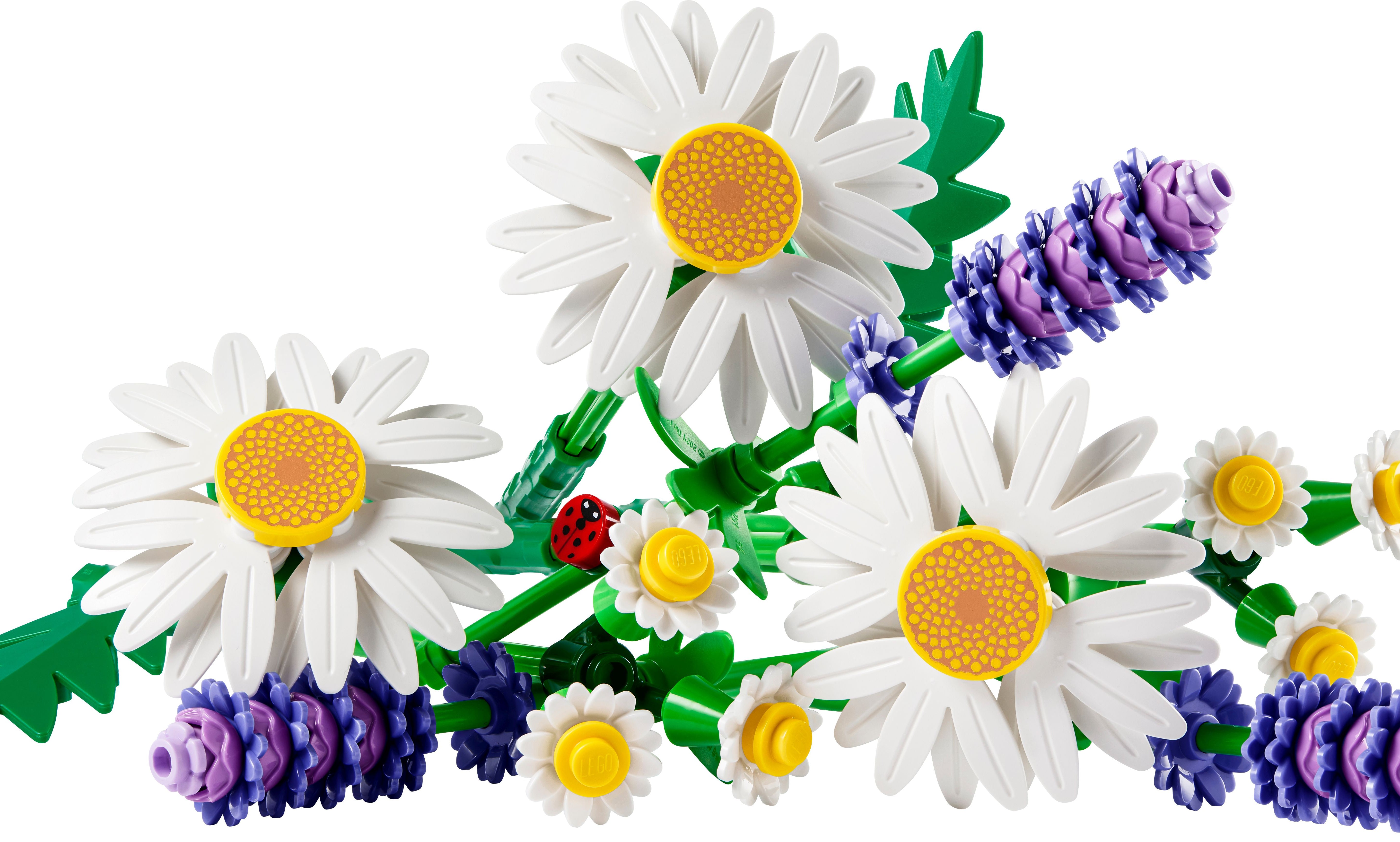LEGO Botanical 11508 Gänseblümchen - Bild 2