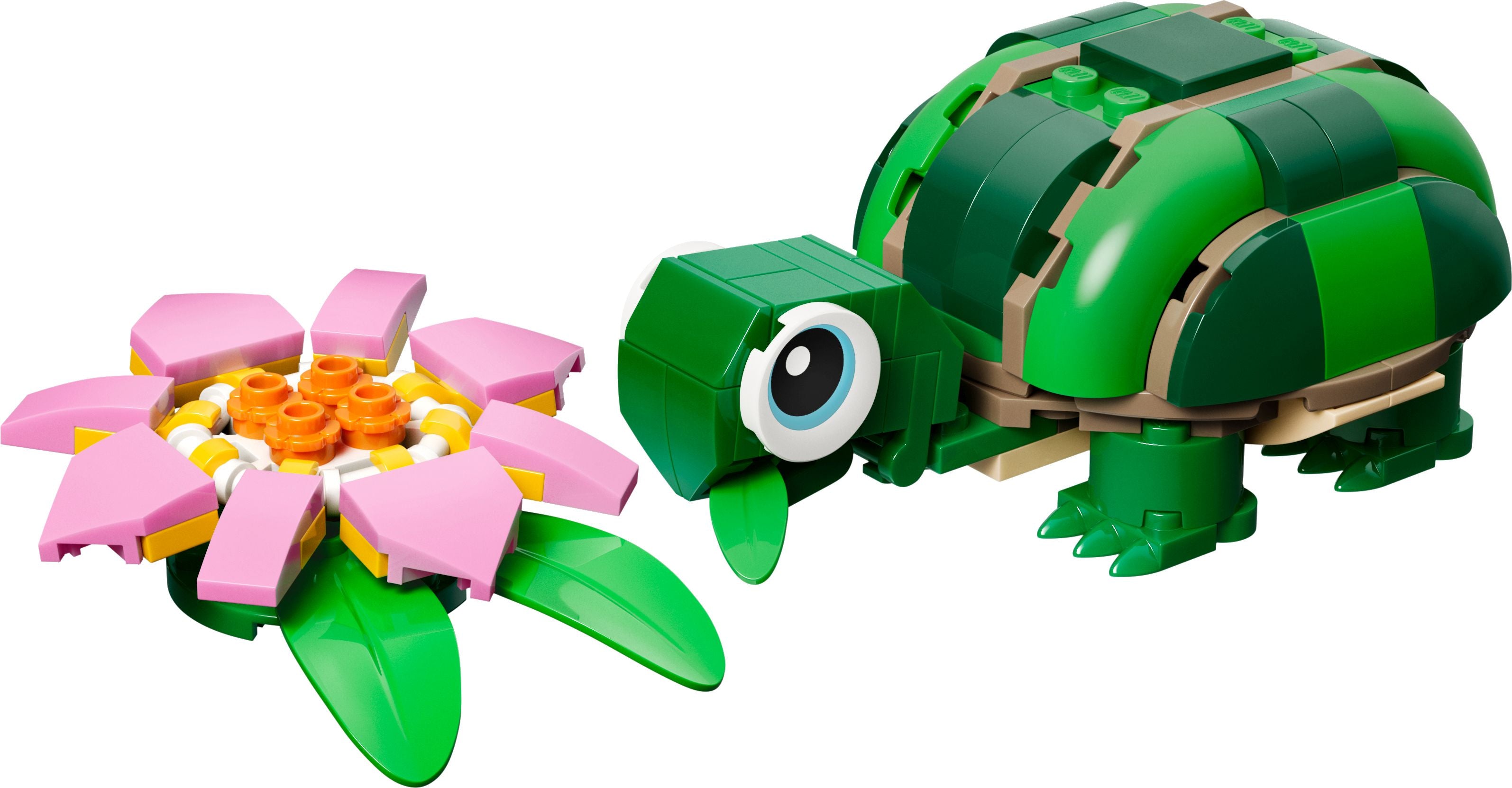 LEGO Creator 3-in-1 Schildkröte mit Seerose 31377 - Bild 2