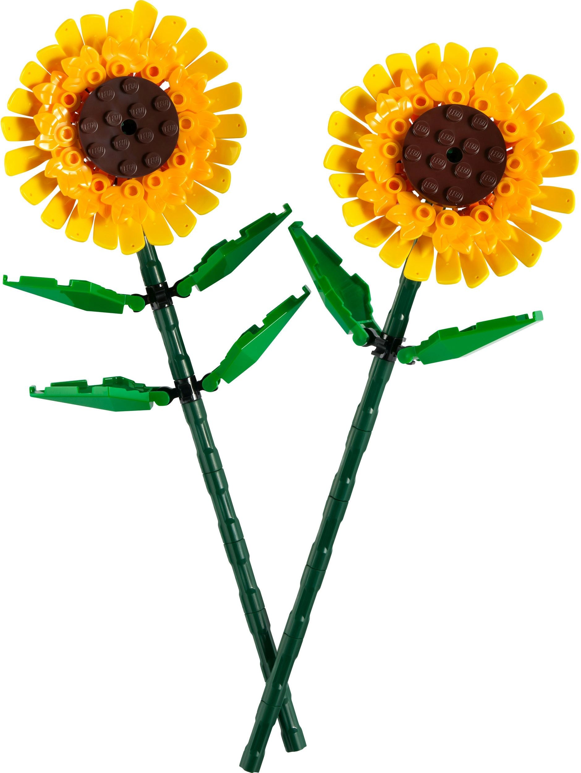 LEGO® Botanicals 40524 Sonnenblumen - Bild 2