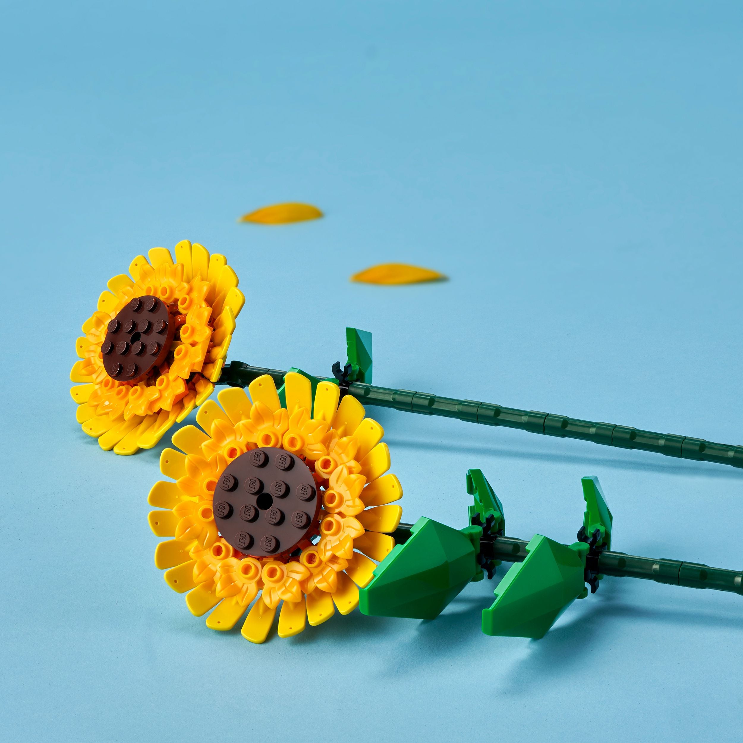 LEGO® Botanicals 40524 Sonnenblumen - Bild 3