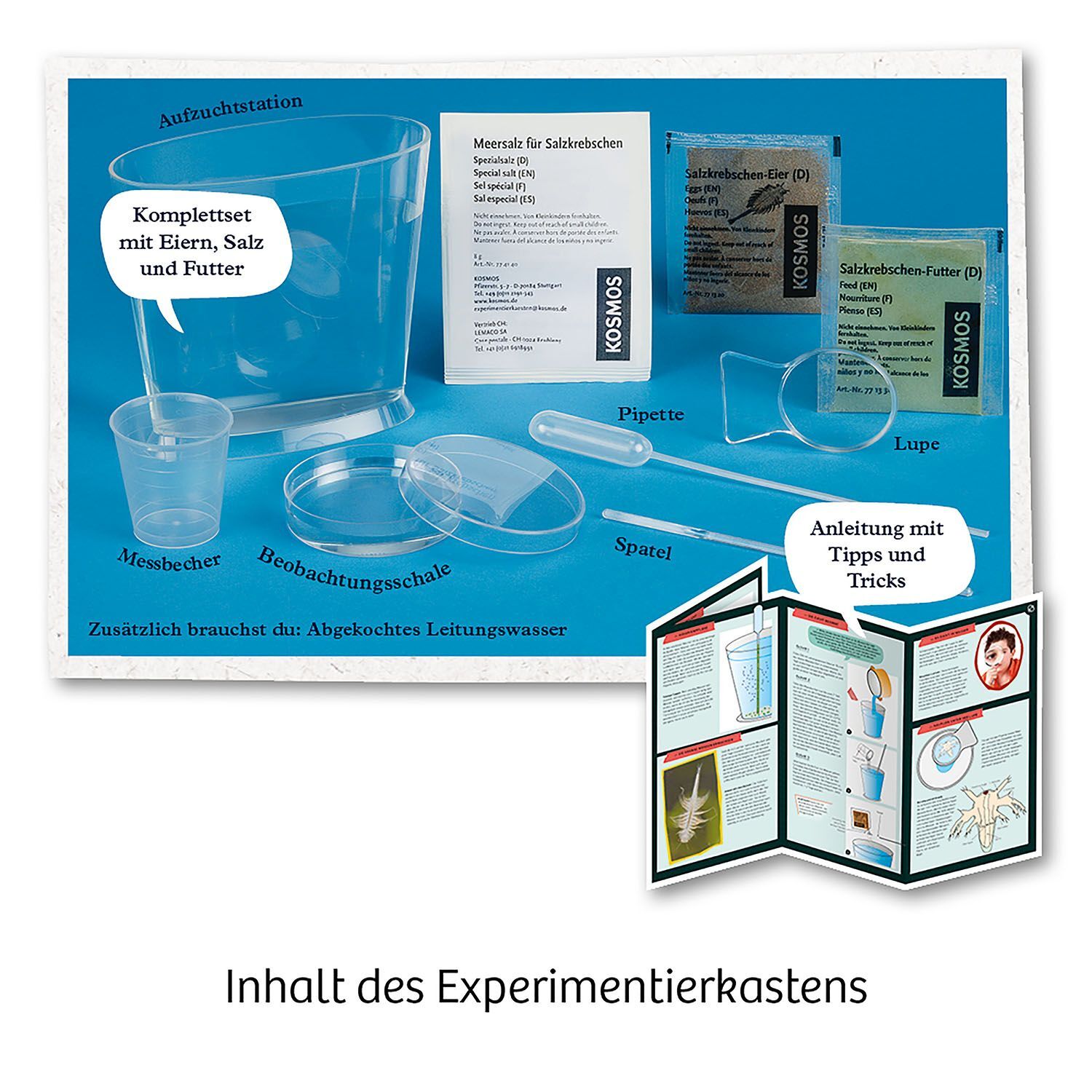 Kosmos Urzeit Krebse - Bild 3