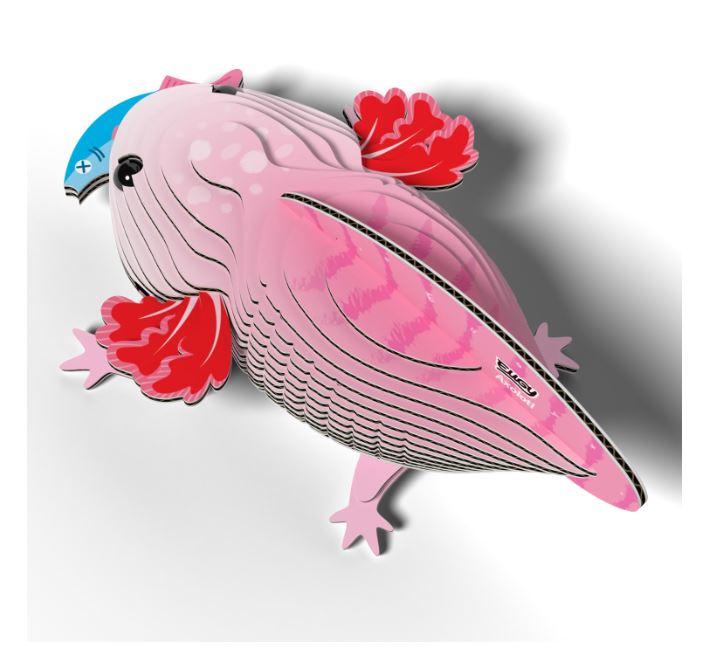 3D Bastelset Axolotl - Bild 3