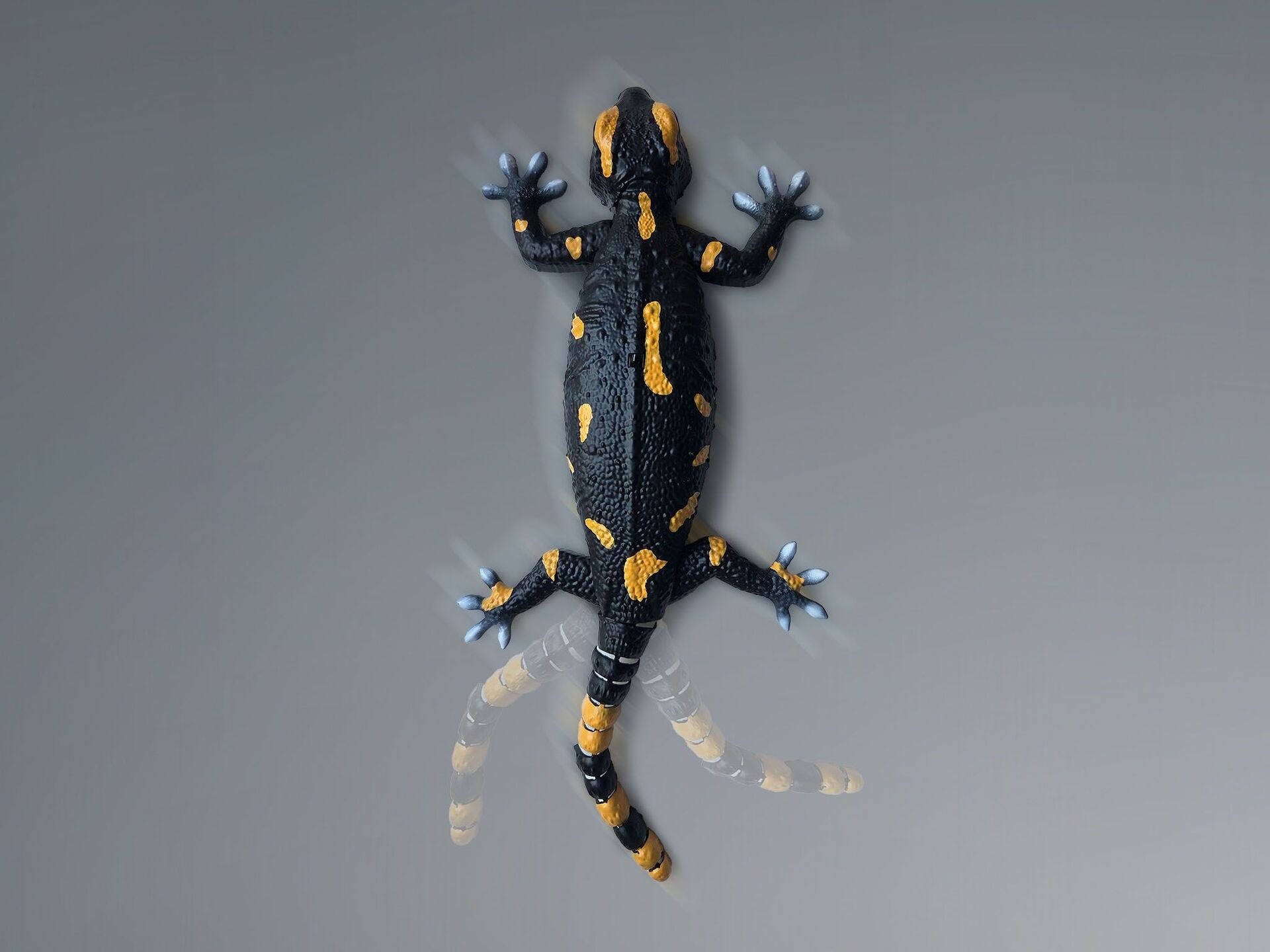 Robo Friends Salamander - Bild 3