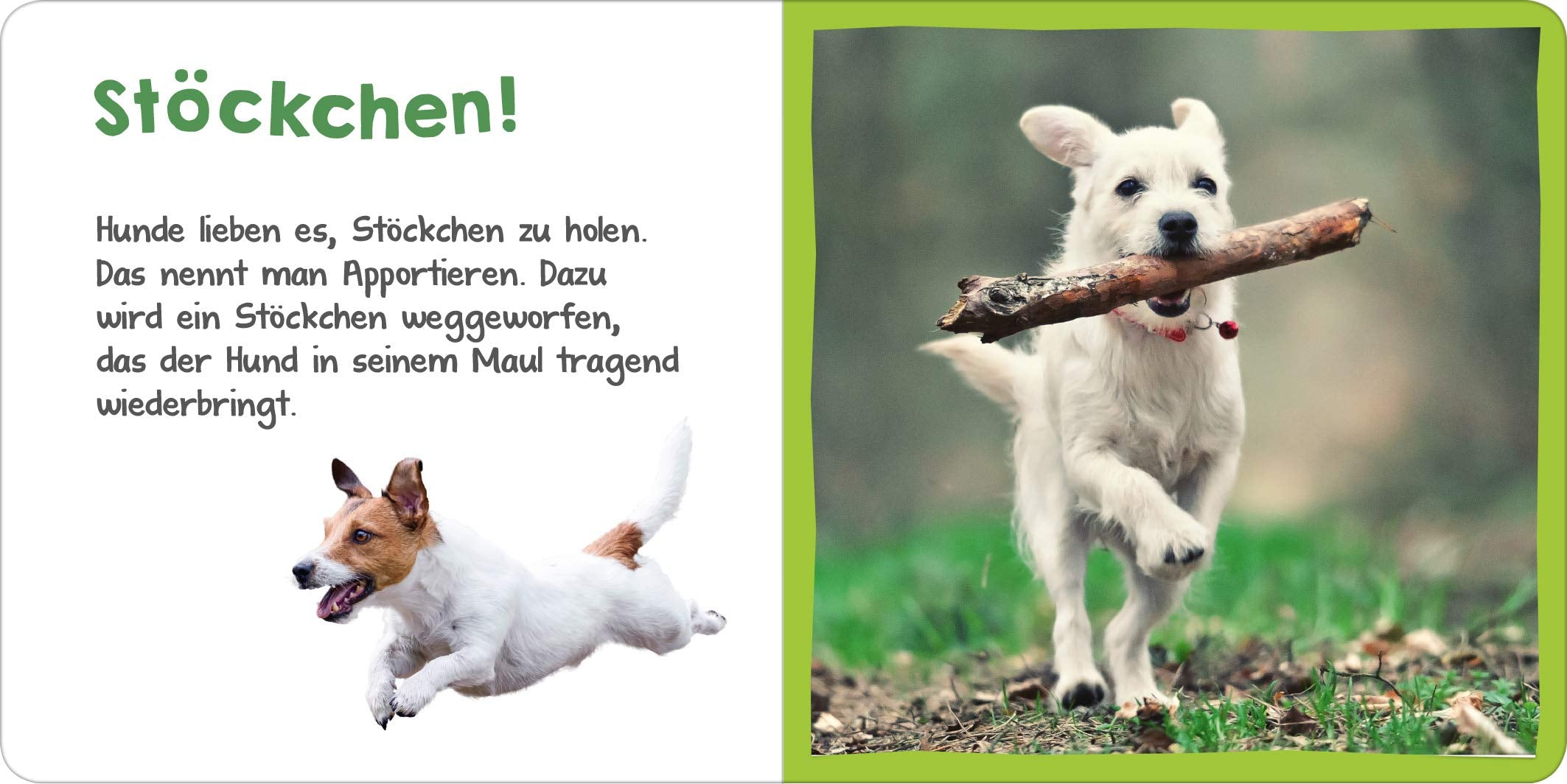 Hör mal rein! Mini : Der Hund - Bild 2