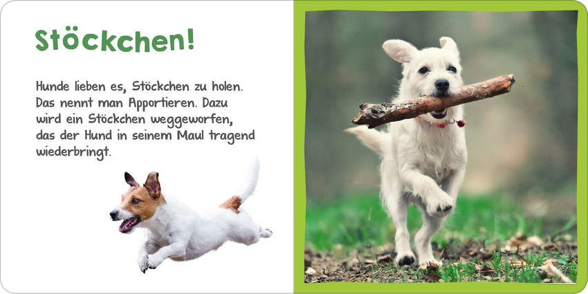 Hör mal rein! Mini : Der Hund