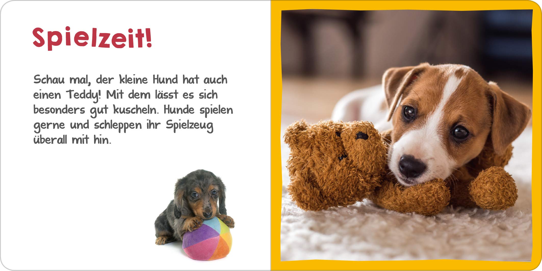 Hör mal rein! Mini : Der Hund - Bild 3